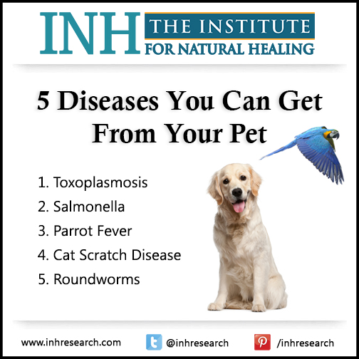 Bonding with your pets lowers stress and fights obesity… But it comes with risks. Here are 5 bugs you can catch from your pet and how to avoid them.