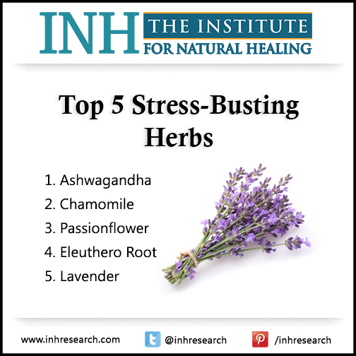 Discover five safe, stress-busting herbal remedies.