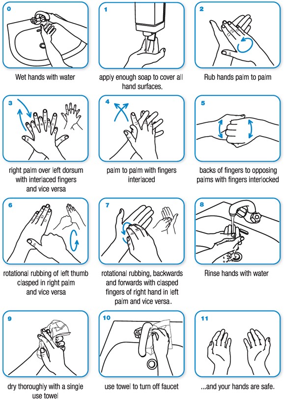 The CDC and WHO recommend different techniques to get rid of hand germs. A new study reveals which method is better. 