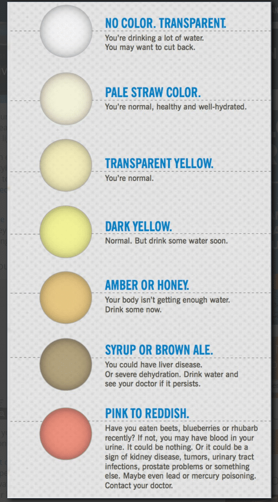The color of urine can indicate a wide variety of health problems.