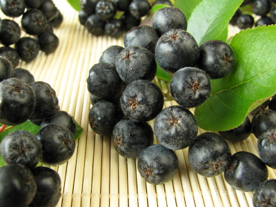 Aronia Berries