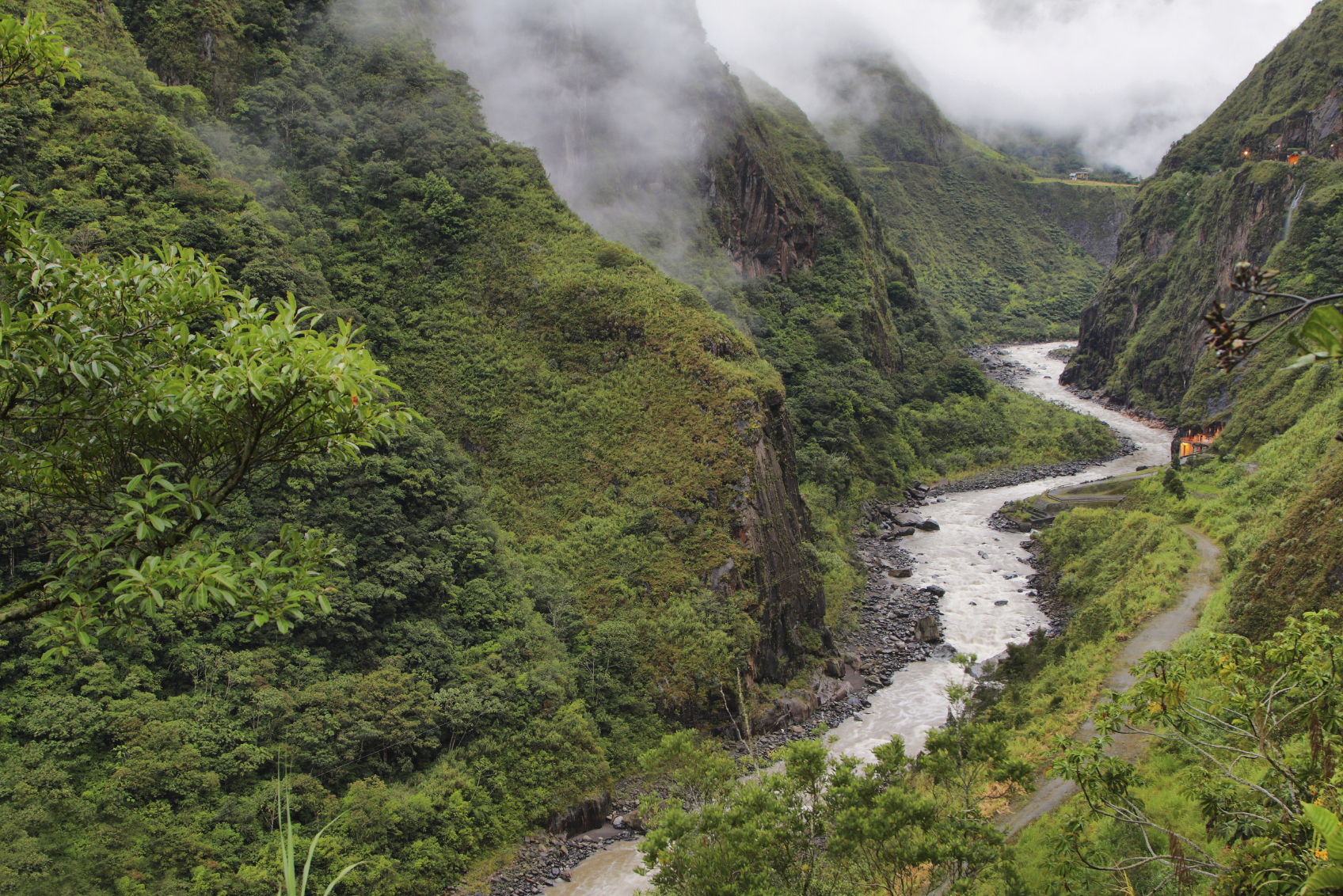 Prostate cancer patients travel to remote areas of the Amazon for this prostate cancer-killing extract. But there’s an easier way to find it.