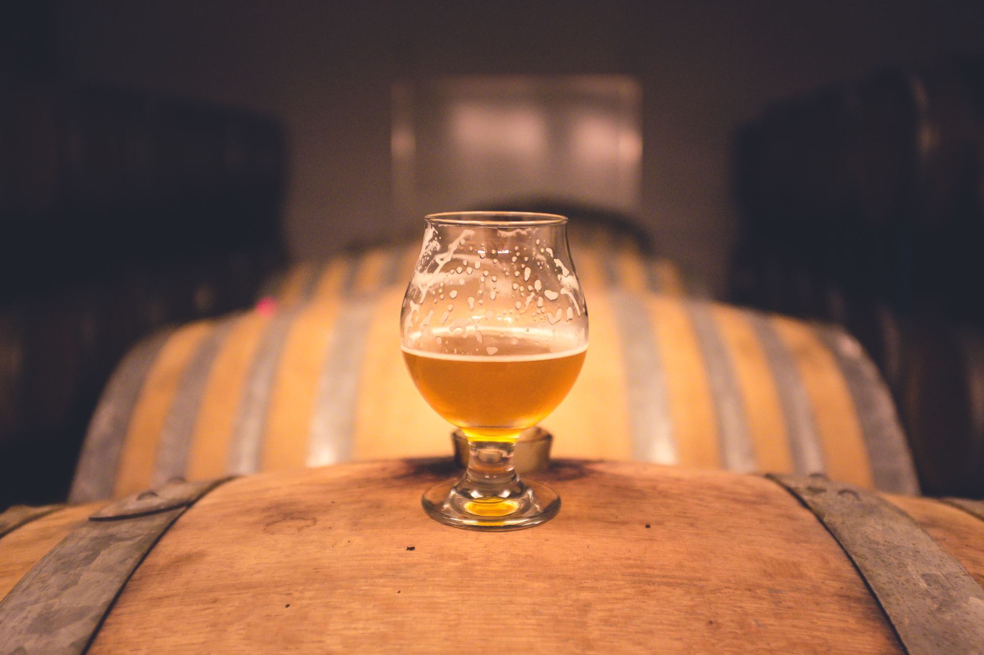Xanthohumol, a substance found in hops used to brew beer, has a wide range of health benefits, according to a new study.