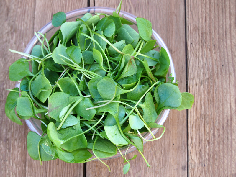 A new study shows that watercress extract lowers carcinogen levels in smokers, lessening lung cancer risk.