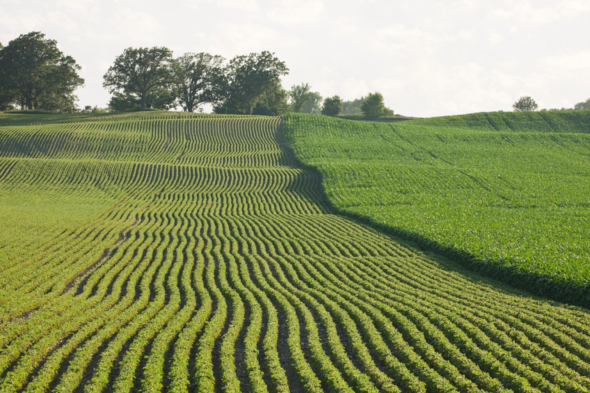 Federal farm subsidies for corn, wheat, and dairy are damaging the health of Americans, a new study shows.