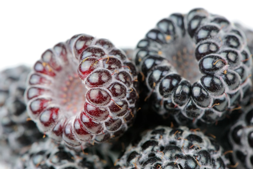 Black raspberry extract quickly and effectively lowers heart risk, a new Korean study finds.