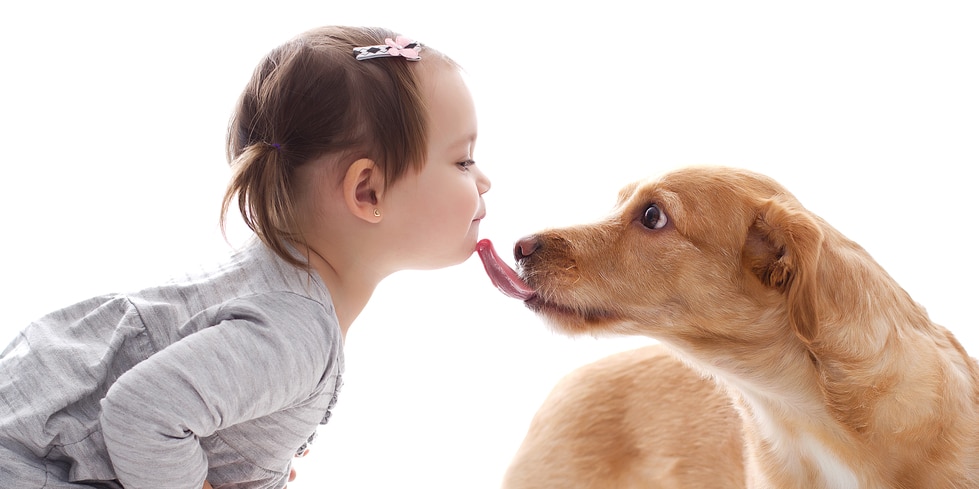 New research reveals dDog kisses bring surprising health risks.