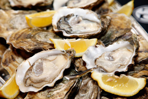 Oysters