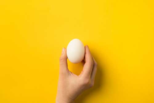 Egg