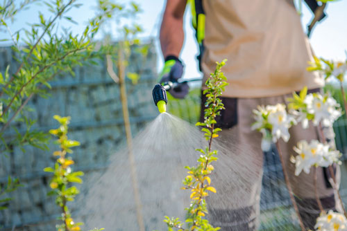 roundup dangers